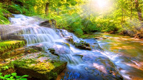 Listen to a recording of a stream with different elements of water sounds, such as lapping, cascading, and singing, to create a relaxing ambience for sleep, study, or focus. This water sound is 75 minutes long and can be purchased or streamed online. 